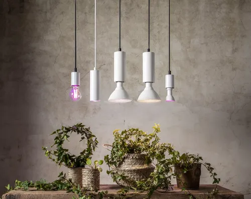 Żarówka LED PLANT LIGHT E14 PAR16 3,5W do wzrostu roślin — zdjęcie 5