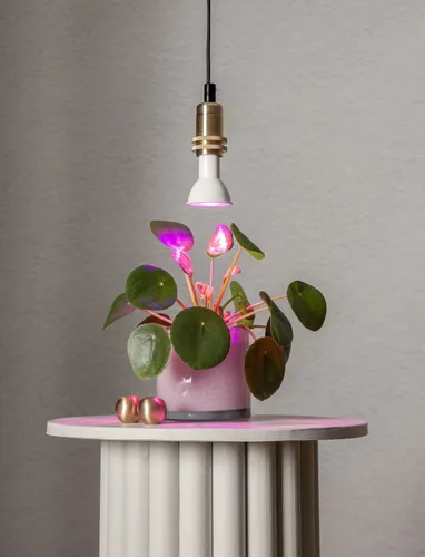 Żarówka LED PLANT LIGHT E14 PAR16 3,5W do wzrostu roślin — zdjęcie 6