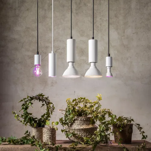 Żarówka LED PLANT LIGHT E14 PAR16 3,5W do wzrostu roślin — zdjęcie 8