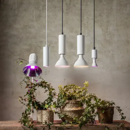 Żarówka LED PLANT LIGHT E27 PAR38 16W do wzrostu roślin — zdjęcie 2