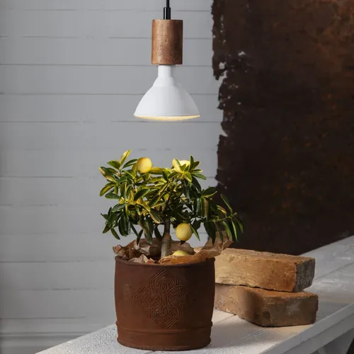 Żarówka LED PLANT LIGHT E27 PAR38 16W do wzrostu roślin — zdjęcie 3