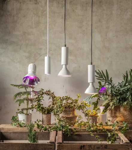 Żarówka LED PLANT LIGHT Gu10 MR16 3,5W do wzrostu roślin — zdjęcie 3