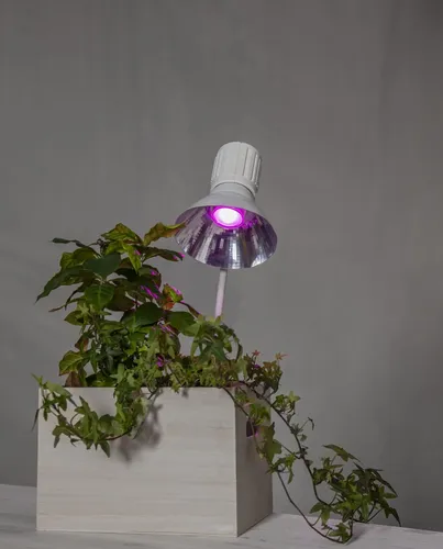 Żarówka LED PLANT LIGHT Gu10 MR16 3,5W do wzrostu roślin — zdjęcie 6