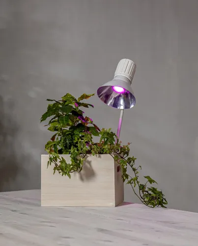 Żarówka LED PLANT LIGHT Gu10 MR16 3,5W do wzrostu roślin — zdjęcie 7