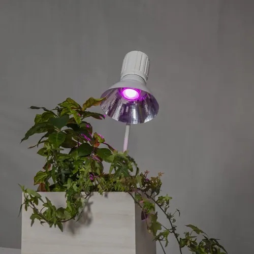 Żarówka LED PLANT LIGHT Gu10 MR16 3,5W do wzrostu roślin — zdjęcie 9